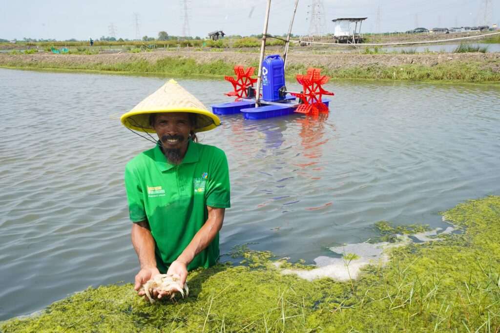 Pemkab Bekasi: Produksi Tambak Naik, PLN Dorong Elektrifikasi Tambak Udang